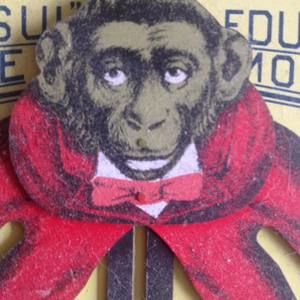 Meet your Posher, Darren